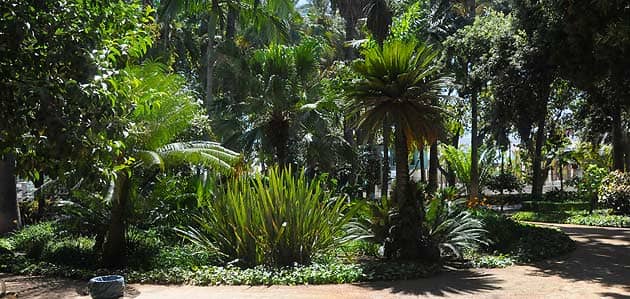 La-Morada-de-Sebas Parque-de-Málaga